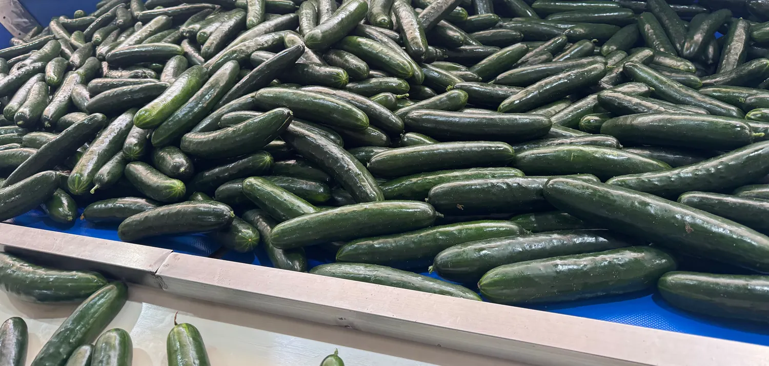 Línea de empaque de pepino
